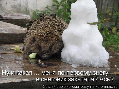 Ну и какая ... меня по первому снегу в снеговик закатала? Ась?... Котоматрица: Ну и какая ... меня по первому снегу в снеговик закатала? Ась?