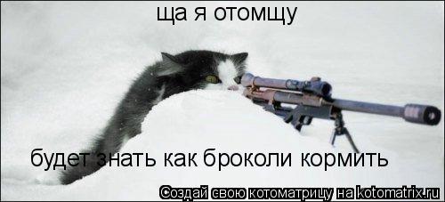 Котоматрица: ща я отомщу будет знать как броколи кормить