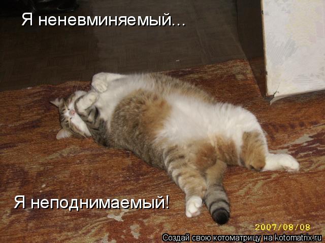 Я неневминяемый... Я неподнимаемый!... Котоматрица: Я неневминяемый... Я неподнимаемый!