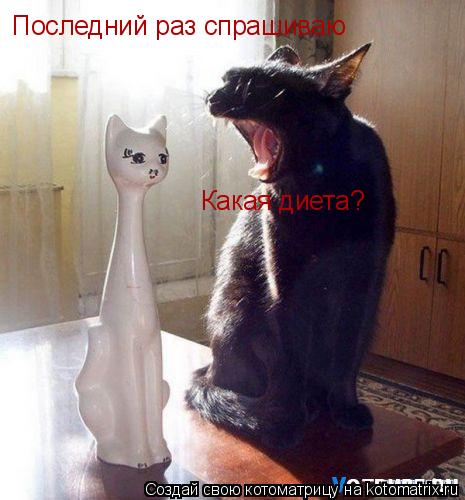 Последний раз спрашиваю Какая диета?... Котоматрица: Последний раз спрашиваю Какая диета?