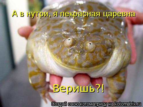 А в нутри, я пекрасная царевна Веришь?!... Котоматрица: А в нутри, я пекрасная царевна Веришь?!