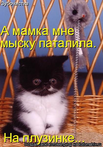 Зубочистка А мамка мне мыску паталила. На плузинке...... Котоматрица: Зубочистка А мамка мне мыску паталила. На плузинке...