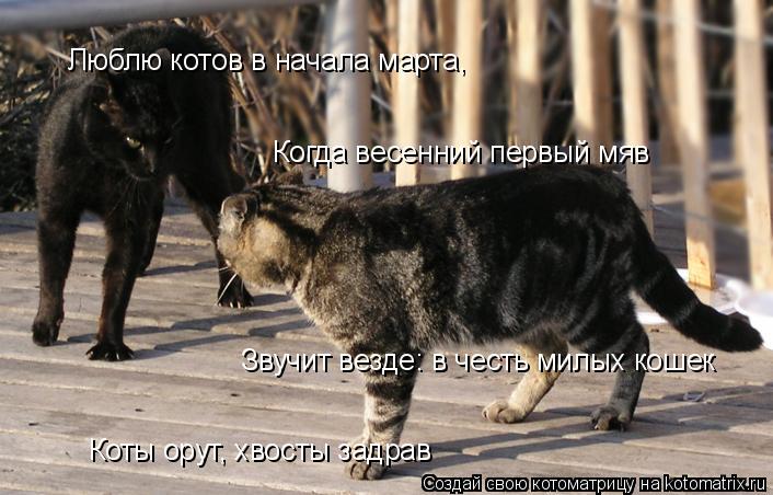 Коты орут, хвосты задрав Люблю котов в начала марта, Когда весенний первый мяв Звучит везде: в честь ... Котоматрица: Коты орут, хвосты задрав Люблю котов в начала марта, Когда весенний первый мяв Звучит везде: в честь милых кошек Звучит везде: в честь милых