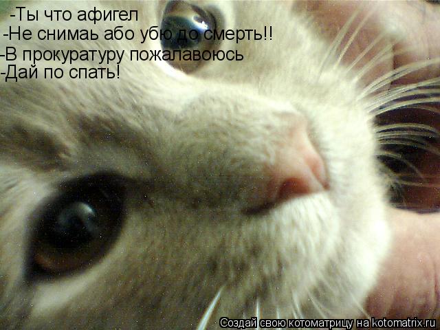 -Ты что афигел -Ты что афигел -Не снимаь або убю до смерть!! -В прокуратуру пожалавоюсь -Дай по спа... Котоматрица: -Ты что афигел -Ты что афигел -Не снимаь або убю до смерть!! -В прокуратуру пожалавоюсь -Дай по спать!