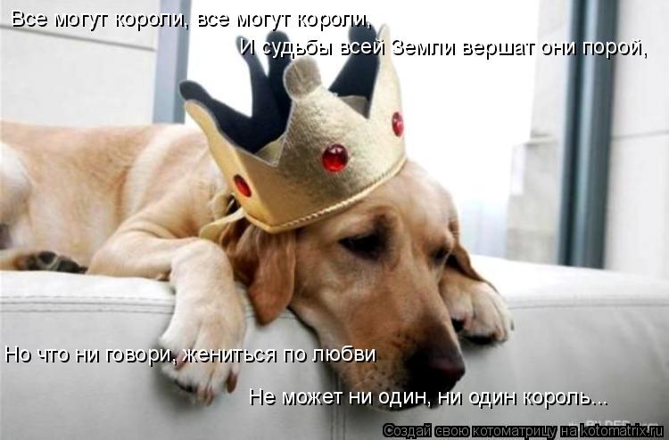 Не может ни один, ни один король... Но что ни говори, жениться по любви Все могут короли, все могут к... Котоматрица: Не может ни один, ни один король... Но что ни говори, жениться по любви Все могут короли, все могут короли, И судьбы всей Земли вершат они поро
