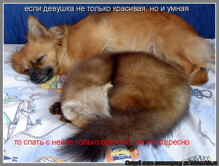 если девушка не только красивая, но и умная то спать с нейне только приятно, но и интересно... Котоматрица: если девушка не только красивая, но и умная то спать с нейне только приятно, но и интересно