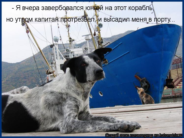 - Я вчера завербовался юнгой на этот корабль, но утром капитан протрезвел, и высадил меня в порту...... Котоматрица: - Я вчера завербовался юнгой на этот корабль, но утром капитан протрезвел, и высадил меня в порту...