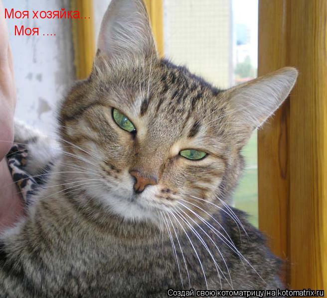 Моя хозяйка... Моя ....... Котоматрица: Моя хозяйка... Моя ....