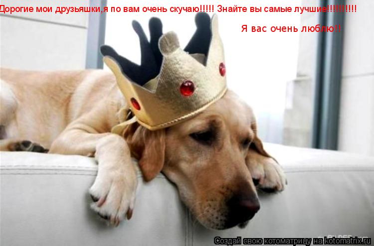 Дорогие мои друзьяшки,я по вам очень скучаю!!!!! Знайте вы самые лучшие!!!!!!!!!! Я вас очень люблю!!... Котоматрица: Дорогие мои друзьяшки,я по вам очень скучаю!!!!! Знайте вы самые лучшие!!!!!!!!!! Я вас очень люблю!!