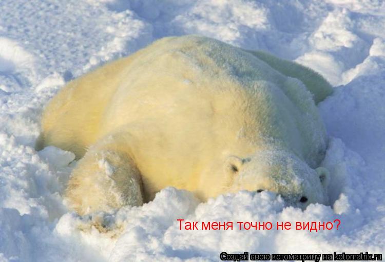 Так меня точно не видно?... Котоматрица: Так меня точно не видно?