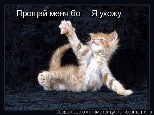 Прощай меня бог... Я ухожу.... Котоматрица: Прощай меня бог... Я ухожу.