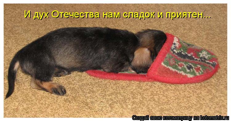 И дух Отечества нам сладок и приятен...... Котоматрица: И дух Отечества нам сладок и приятен...