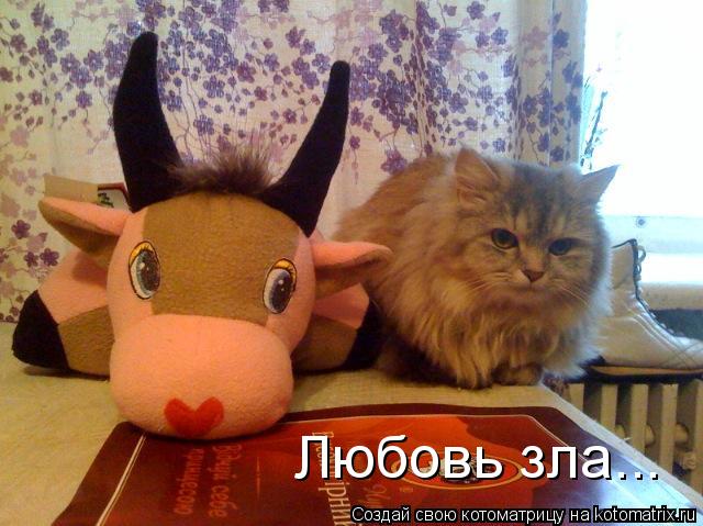 Любовь зла...... Котоматрица: Любовь зла...