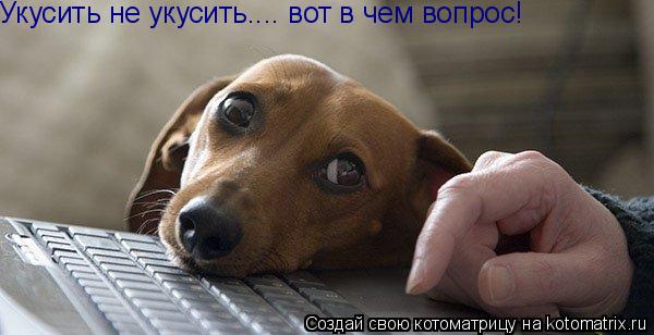 Укусить не укусить.... вот в чем вопрос!... Котоматрица: Укусить не укусить.... вот в чем вопрос!