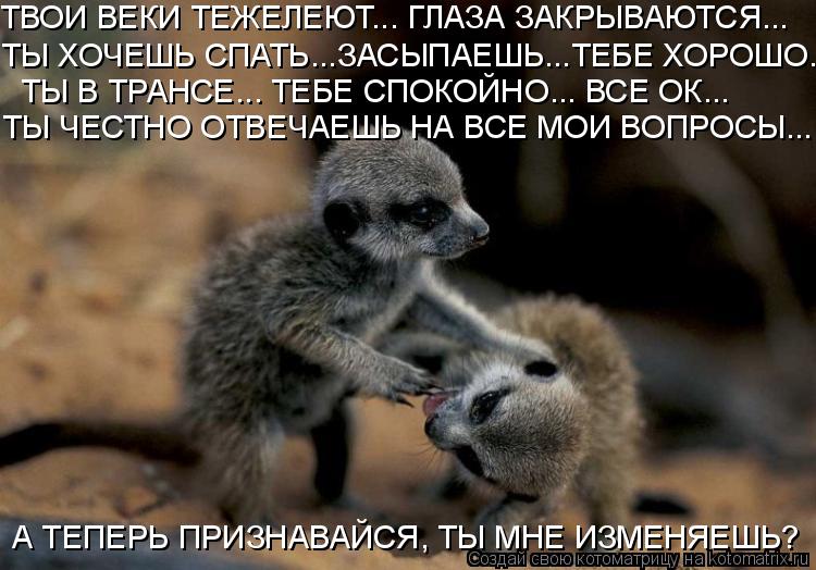 ТВОИ ВЕКИ ТЕЖЕЛЕЮТ... ГЛАЗА ЗАКРЫВАЮТСЯ... ТЫ ХОЧЕШЬ СПАТЬ...ЗАСЫПАЕШЬ...ТЕБЕ ХОРОШО... ТЫ В ТРАНСЕ.... Котоматрица: ТВОИ ВЕКИ ТЕЖЕЛЕЮТ... ГЛАЗА ЗАКРЫВАЮТСЯ... ТЫ ХОЧЕШЬ СПАТЬ...ЗАСЫПАЕШЬ...ТЕБЕ ХОРОШО... ТЫ В ТРАНСЕ... ТЕБЕ СПОКОЙНО... ВСЕ ОК... ТЫ ЧЕСТНО ОТВЕЧАЕШ
