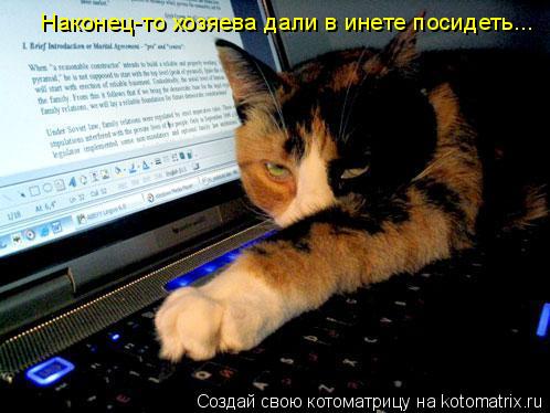 Наконец-то хозяева дали в инете посидеть...... Котоматрица: Наконец-то хозяева дали в инете посидеть...