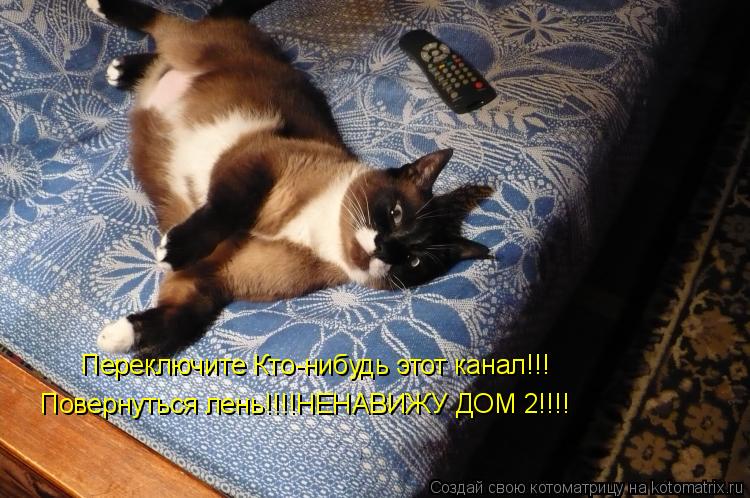 Переключите Кто-нибудь этот канал!!! Повернуться лень!!!!НЕНАВИЖУ ДОМ 2!!!!... Котоматрица: Переключите Кто-нибудь этот канал!!! Повернуться лень!!!!НЕНАВИЖУ ДОМ 2!!!!