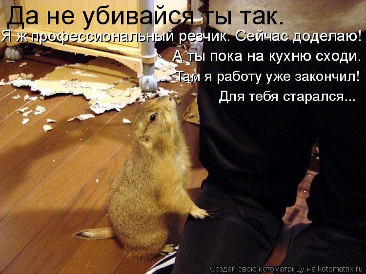 Для тебя старался... Да не убивайся ты так. Я ж профессиональный резчик. Сейчас доделаю! А ты пока н... Котоматрица: Для тебя старался... Да не убивайся ты так. Я ж профессиональный резчик. Сейчас доделаю! А ты пока на кухню сходи. Там я работу уже закончил!