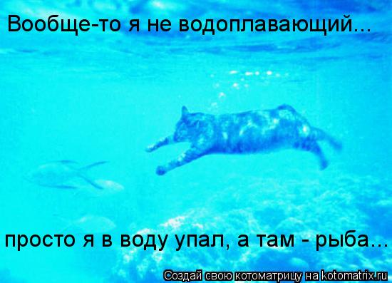 Вообще-то я не водоплавающий... просто я в воду упал, а там - рыба...... Котоматрица: Вообще-то я не водоплавающий... просто я в воду упал, а там - рыба...