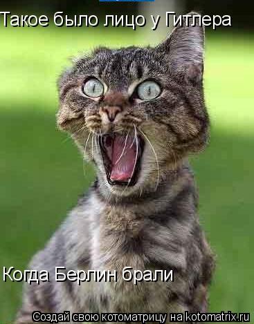 Такое было лицо у Гитлера Когда Берлин брали... Котоматрица: Такое было лицо у Гитлера Когда Берлин брали