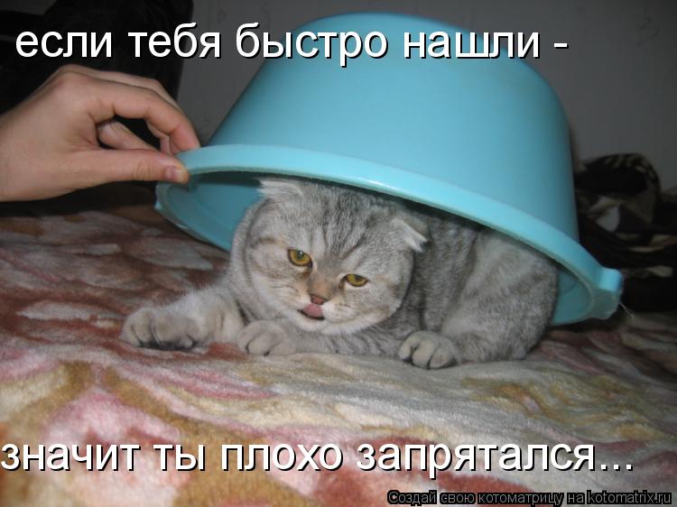 если тебя быстро нашли - значит ты плохо запрятался...... Котоматрица: если тебя быстро нашли - значит ты плохо запрятался...