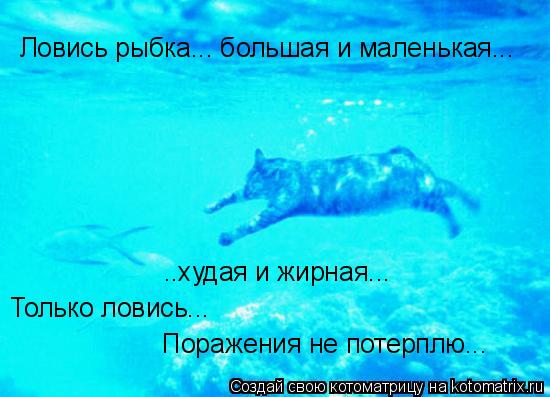 Ловись рыбка... большая и маленькая... ..худая и жирная... Только ловись... Поражения не потерплю...... Котоматрица: Ловись рыбка... большая и маленькая... ..худая и жирная... Только ловись... Поражения не потерплю...