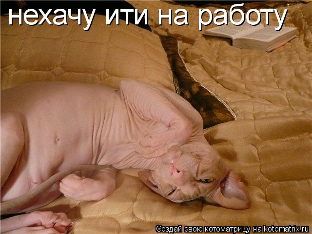 нехачу ити на работу... Котоматрица: нехачу ити на работу