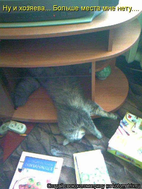 Ну и хозяева... Больше места мне нету....... Котоматрица: Ну и хозяева... Больше места мне нету....