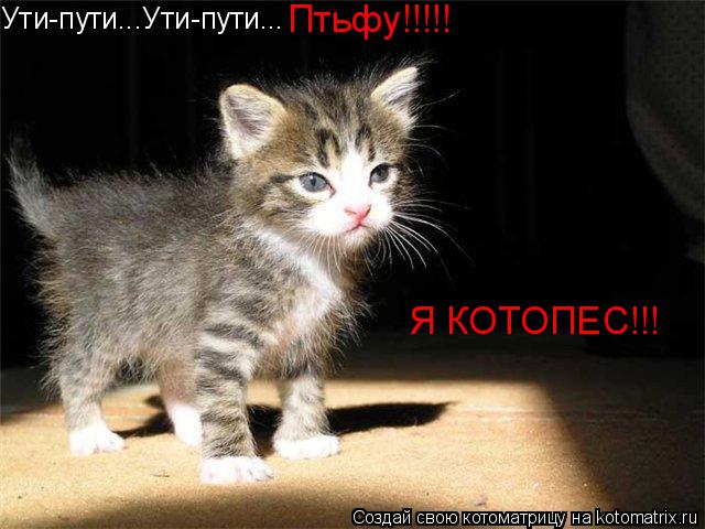 Ути-пути...Ути-пути... Птьфу!!!!! Я КОТОПЕС!!!... Котоматрица: Ути-пути...Ути-пути... Птьфу!!!!! Я КОТОПЕС!!!