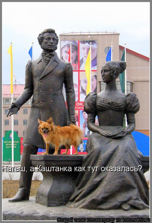 Наташ, а Каштанка как тут оказалась?... Котоматрица: Наташ, а Каштанка как тут оказалась?