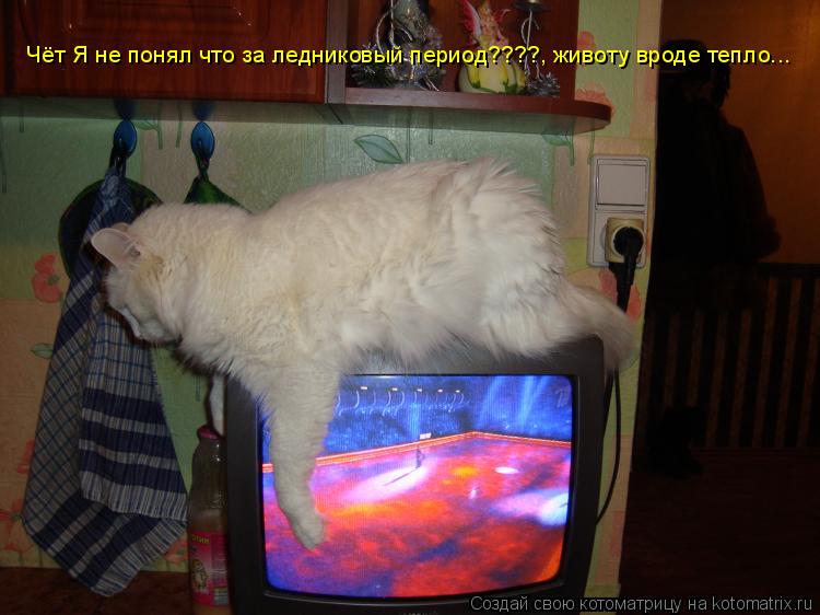 Котоматрица: Чёт Я не понял что за ледниковый период????, животу вроде тепло…….