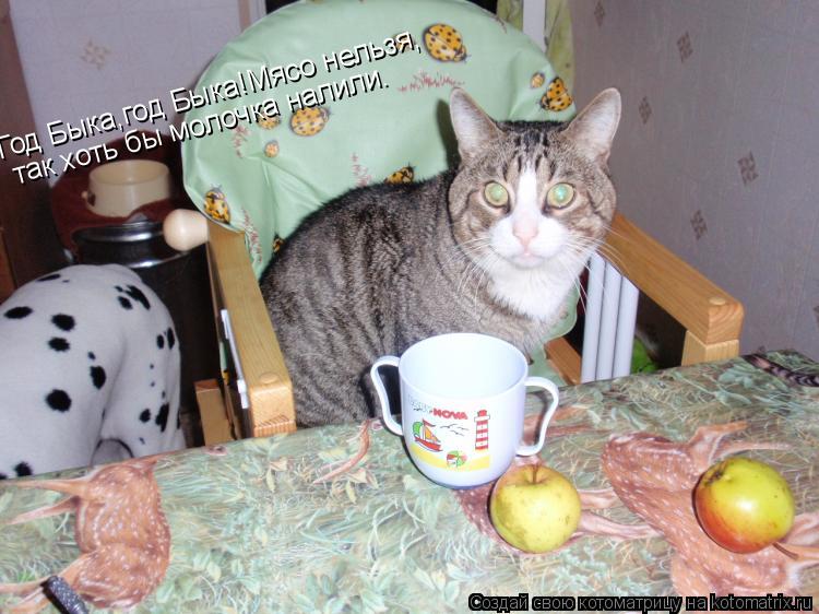 Котоматрица: Год Быка,год Быка!Мясо нельзя, так хоть бы молочка налили.