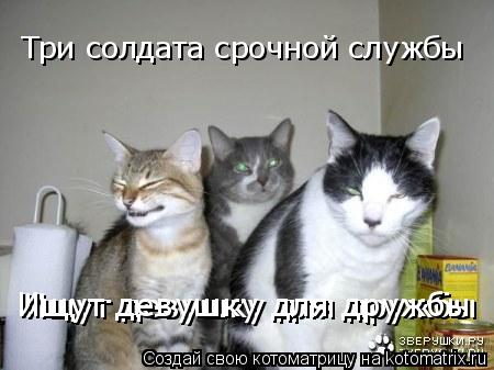 Котоматрица: Три солдата срочной службы Ищут девушку для дружбы Ищут девушку для дружбы