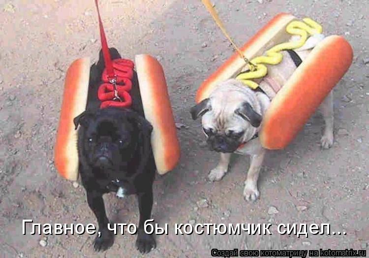 Главное, что бы костюмчик сидел...... Котоматрица: Главное, что бы костюмчик сидел...