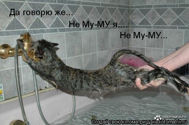 Да говорю же... Не Му-МУ я.... Не Му-МУ...... Котоматрица: Да говорю же... Не Му-МУ я.... Не Му-МУ...