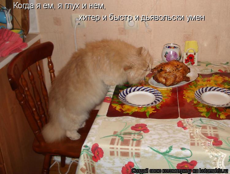 Когда я ем, я глух и нем, хитер и быстр и дьявольски умен... Котоматрица: Когда я ем, я глух и нем, хитер и быстр и дьявольски умен