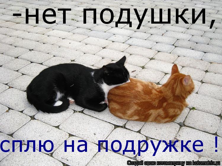 Котоматрица: -нет подушки, сплю на подружке !