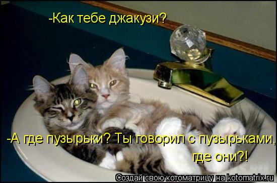 -Как тебе джакузи? -А где пузырьки? Ты говорил с пузырьками, где они?!... Котоматрица: -Как тебе джакузи? -А где пузырьки? Ты говорил с пузырьками, где они?!