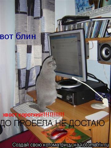 вот блин хвост короткий!!!!!!!!!!!! ДО ПРОБЕЛА НЕ ДОСТАЮ... Котоматрица: вот блин хвост короткий!!!!!!!!!!!! ДО ПРОБЕЛА НЕ ДОСТАЮ