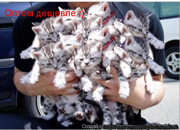 Оптом дешевле :)... Котоматрица: Оптом дешевле :)