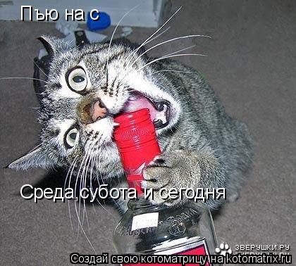 Пъю на с Среда,субота и сегодня... Котоматрица: Пъю на с Среда,субота и сегодня
