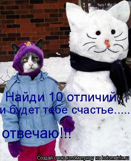 Найди 10 отличий, . и будет тебе счастье........ отвечаю!!!... Котоматрица: Найди 10 отличий, . и будет тебе счастье........ отвечаю!!!