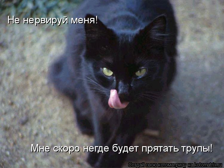 Не нервируй меня! Мне скоро негде будет прятать трупы!... Котоматрица: Не нервируй меня! Мне скоро негде будет прятать трупы!