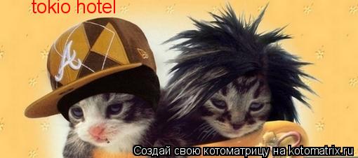 tokio hotel... Котоматрица: tokio hotel