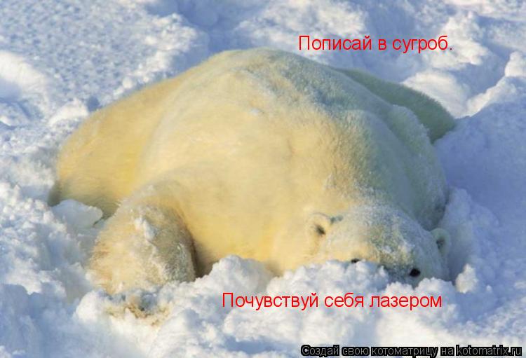 Пописай в сугроб. Почувствуй себя лазером... Котоматрица: Пописай в сугроб. Почувствуй себя лазером