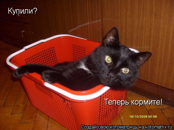 Купили? Теперь кормите!... Котоматрица: Купили? Теперь кормите!