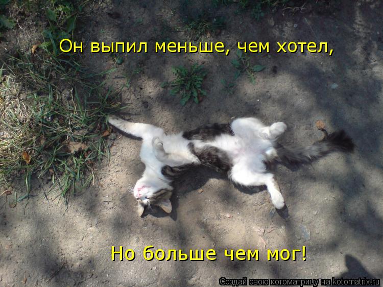 Котоматрица: Он выпил меньше, чем хотел, Но больше чем мог!