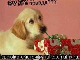 Котоматрица: Ето мне правда??? Ето мне правда??? Ето мне правда??? Ето мне правда???