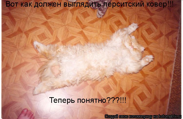 Вот как должен выглядить перситский ковер!!! Теперь понятно???!!!... Котоматрица: Вот как должен выглядить перситский ковер!!! Теперь понятно???!!!