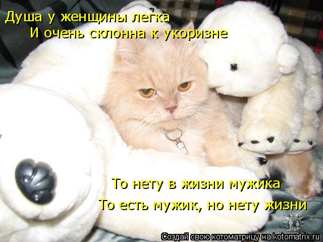 Душа у женщины легка И очень склонна к укоризне То нету в жизни мужика То есть мужик, но нету жизни... Котоматрица: Душа у женщины легка И очень склонна к укоризне То нету в жизни мужика То есть мужик, но нету жизни